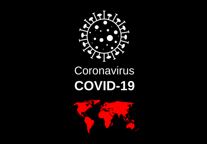 Warning call: Safeguard democracy in times of the corona-virus